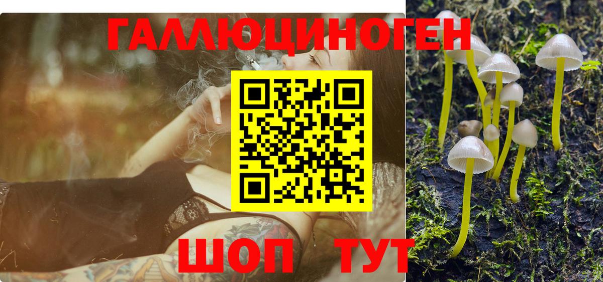 Кашира  Галлюциногенные грибы MAGIC MUSHROOMS  где купить наркоту  Вход с VPN 